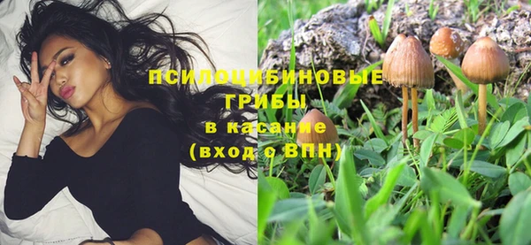 прущая мука Горнозаводск