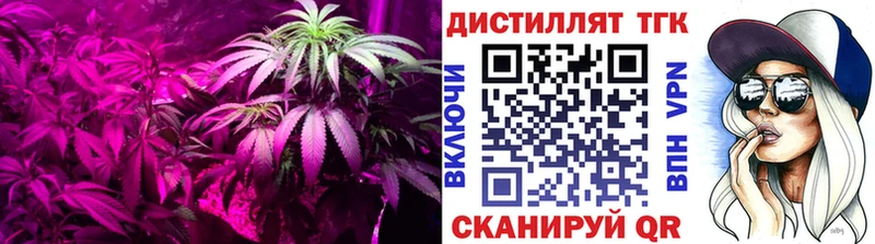 Дистиллят ТГК концентрат  Купить где  Туймазы 
