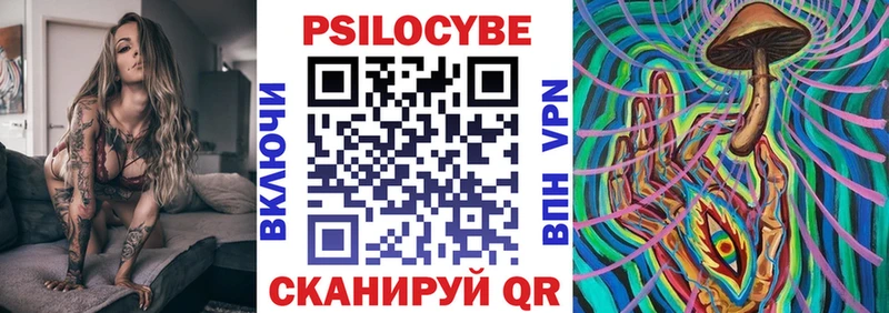 Купить  Туймазы  Псилоцибиновые грибы Psilocybe 
